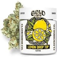 Claybourne Co. | Gold Cuts | Lemon Drop Top | Indoor Flower