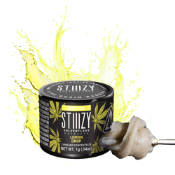 STIIIZY - Rosin Badder - Lemon Drop - 1g