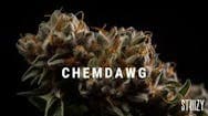 Honest Pharm Chem Dawg (H) Flower 28g