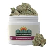 SUNMED Watermelon Gelato 5g