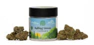 Rolling Green | Flower | Pop Tart | 3.5g