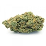 Little Ladies - Mass Super Skunk