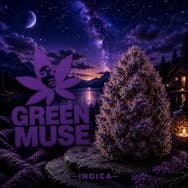 Chem Fuego | B-Buds | 24.91% | Indica