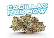 FADE CO. Cadillac Rainbows 3.5g
