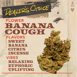 Banana Cough - 3.5g Flower