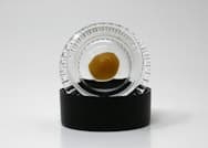 Full Circle Farm Live Rosin Wicked Sowa