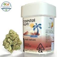 COASTAL SUN FLOWER - RED VELVET