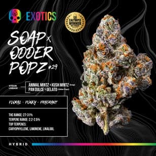 Soap x Odder Popz #29