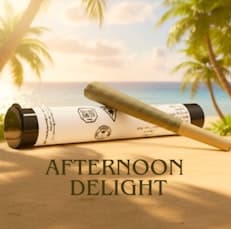 Afternoon Delight (H) 1g Pre Roll