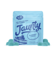 Blueberry Stacks | Hash-Infused Gummies | 100mg | 10pk