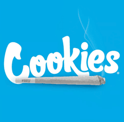 Cookies - Black Cherry Gelato - Pre Roll - 1g