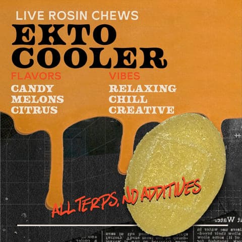 Ekto Cooler 100mg 10pk - Live Rosin Chews