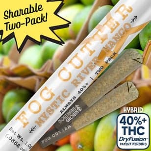 Fog Cutter | Mystic River Mango | i | 0.5g | 2pk | Infused Preroll