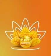Mango Serenity 1:1 Gummies 10mg 20pk