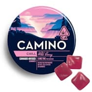 Kiva Camino Gummies - Wild Berry 100mg