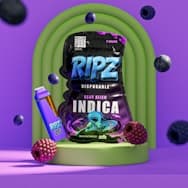 Ripz - 2g Disposable Vape - Blue Alien