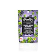 Blackberry Fruit Chews | Indica 10pk
