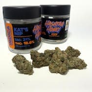 Hashtag Honey | Kats Nip | 3.5g
