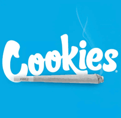 Cookies - Fried Bananas - Pre Roll - 1g