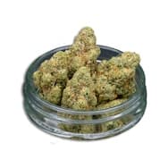 Jelly Jam Bulk Flower