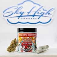 Double Dipped Strawberries Pre-Roll 2-pack | 1.2g