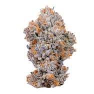 Connected | Biscotti | 3.5g (Premium Cannabis)