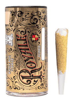KINGROLL - INFUSED PREROLL - ROYALE XRAY Z - 1.3G