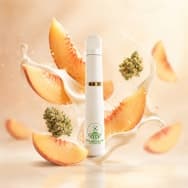 Peach & Cream 1g Disposable