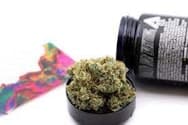 710 Labs - Flower - Britney's Frozen Lemons #5