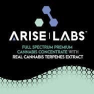 Arise Labs | All In One Disposable | Lemon Cheese