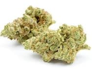 Modified Gas - Lionheart Cannabis