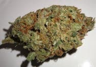 Bad River Cannabis - Lemon Jeffrey - 7g - Flower