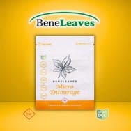BeneLeaves | Micro Entourage Capsules | 22pk 110mg | Hybrid