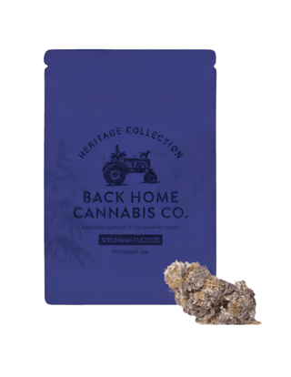 Gorilla Glue