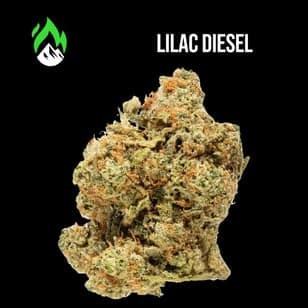 Wildfire | Lilac Diesel | s/h | 3.5g | Flower