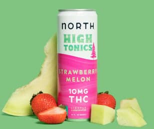 North Canna - Hemp Derived - Strawberry Melon 10mg