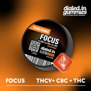 100mg - Blood Orange Focus 1:1:1 - Rosin Gummies (10pk)