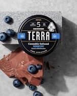 Kiva Terra Bites Milk Chocolate Blueberries 100mg