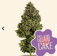 DC | GELATO CAKE