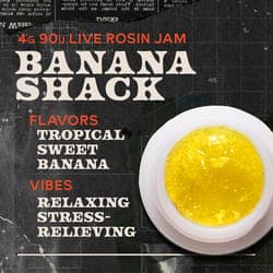 Banana Shack Jam 4g Live Rosin Concentrate