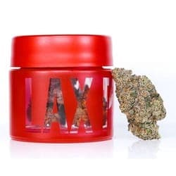 LAX PACKS - INDOOR FLOWER - GELATO 82 - 3.5G