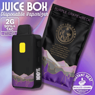 Juice Box | Purple Grapewreck | i | 2g | Disposable