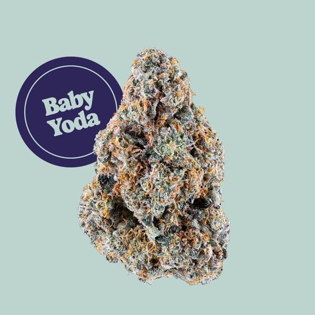 Baby Yoda Buds