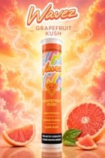 Wavez Grapefruit Kush (I/H) 1g Liquid Diamonds Infused Pre Roll
