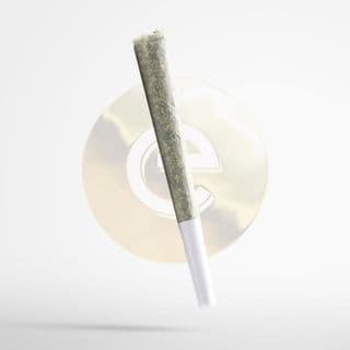 Motor Breath Pre-roll