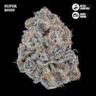 Super Boof 3.5G Flower Jar