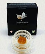 KG Live Sugar (1g)