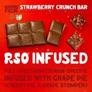 Wellspring Fields | Strawberry Crunch Bar 10PC 100mg