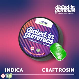 100mg - Dragon Fruit - Rosin Gummies (10pk)
