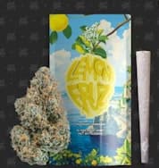 SEED JUNKY- LEMON FRUZ PREROLL [S]
